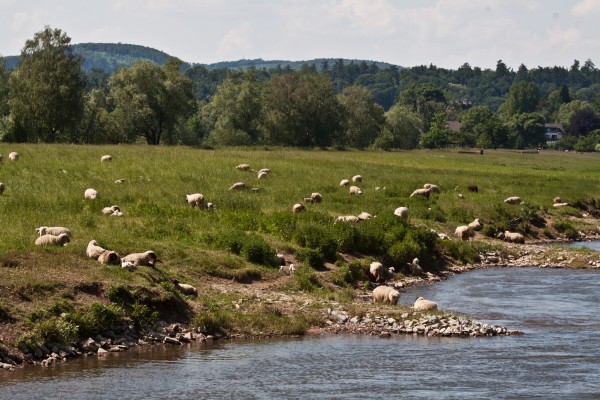 weser 1 - (c) l lammers.jpg